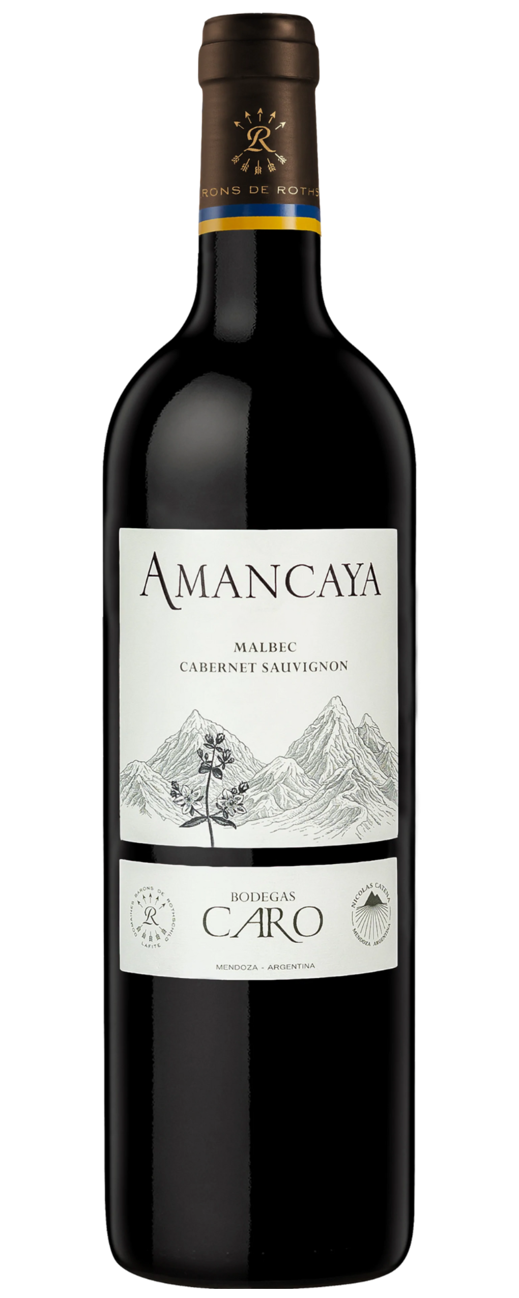 Amancaya 2021