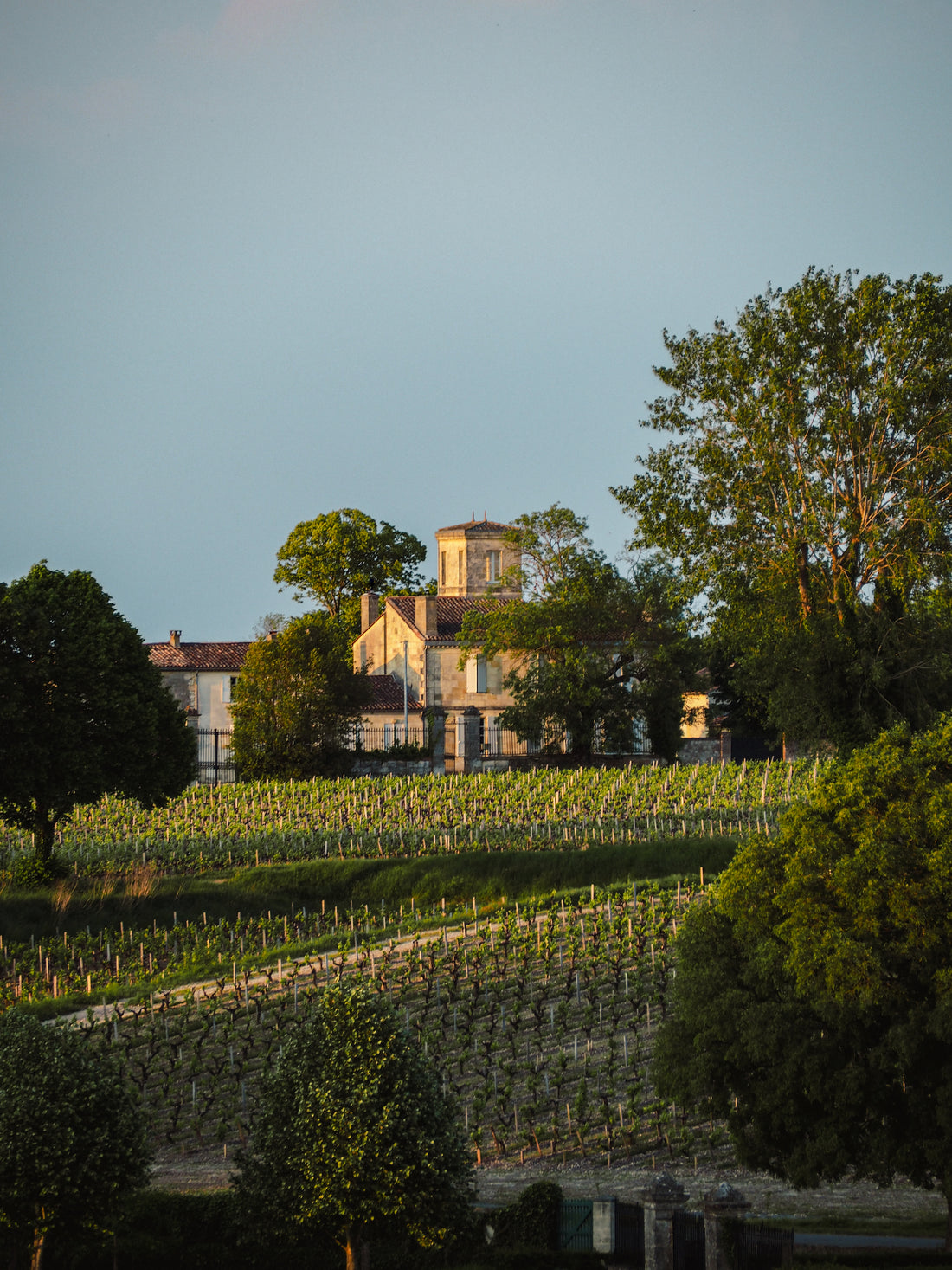 DBR Lafite Introduces Anseillan