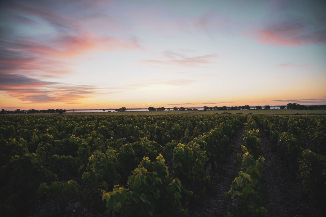 Behind the Scenes in Bordeaux with Les Légendes R
