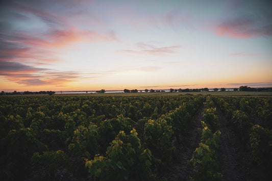 Behind the Scenes in Bordeaux with Les Légendes R