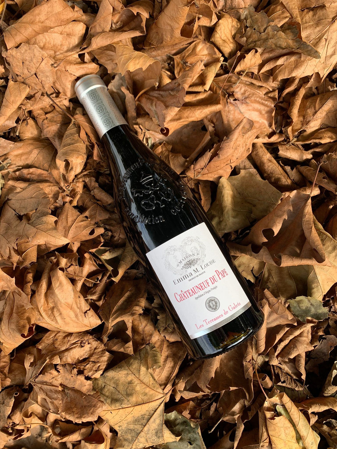 Autumn Cellar Tips